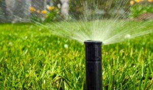 sprinkler maintenance plan